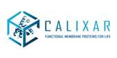 logo calixar